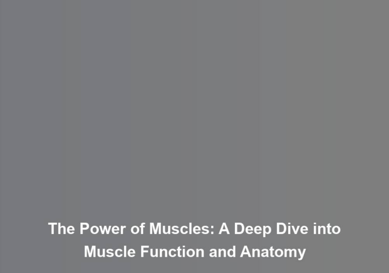 The Power of Muscles: A Deep Dive into Muscle Function and Anatomy