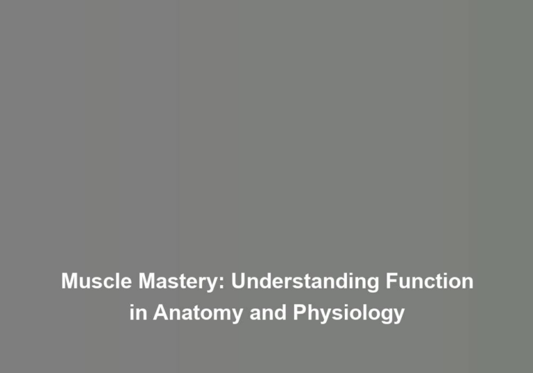 Muscle Mastery: Understanding Function in Anatomy and Physiology