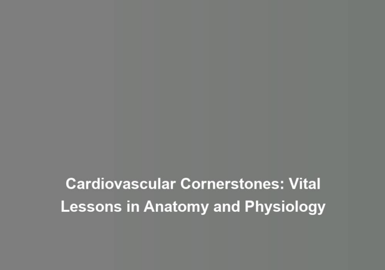 Cardiovascular Cornerstones: Vital Lessons in Anatomy and Physiology