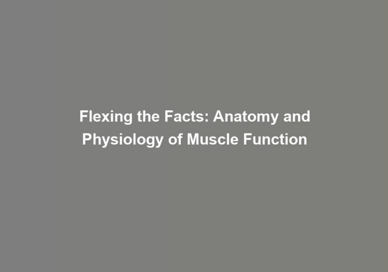 Flexing the Facts: Anatomy and Physiology of Muscle Function